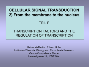 Signaling pathway