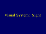 The Visual System: The Nature of Light