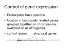 Control of gene expression - Missouri State University