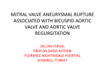 Mitral valve aneurysmal rupture associated with bicuspid aortic