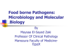 Food borne Pathogens: Microbiology and Molecular Biology .