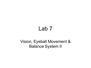 BB Lab 7