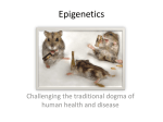 Epigenetics - UNM Biology