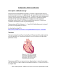 Transposition of the Great Arteries Description and Epidemiology