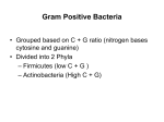 The Nonproteobacteria Gram