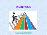 Nutrition Lecture 2012