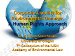 Corporate Liability - IUCN Academy of Environmental Law