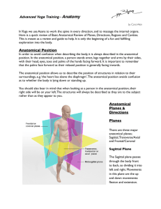 Anatomical Review – Anatomical Planes