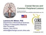 Cranial Nerves and Common Peripheral Lesions