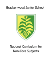 Non Core Subjects Curriculum