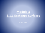 module 3 3.1.1 exchange surfaces