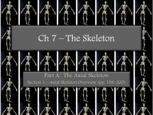 The Axial Skeleton – Vertebral column