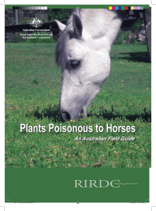 Plants Poisonous to Horses - Australian Horse Industry Council