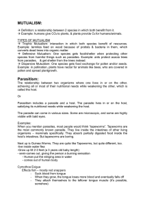 mutualism - SMIC Biology