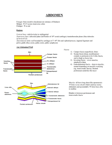 abdomen - WordPress.com