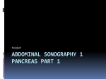Abdominal Sonography 1 Pancreas Part 1 2017