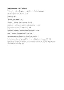 Gastrointestinal tract