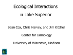 Ecological Interactions in Lake Superior