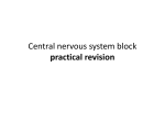 Central nervous system practical block