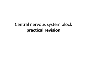 Central nervous system practical block