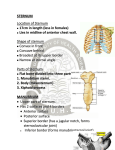 Sternum lecture outline