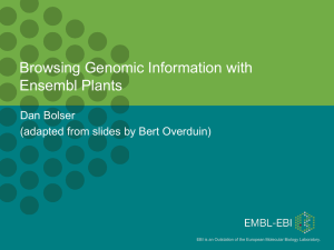 A walk-through tutorial of Ensembl Plants functionality.