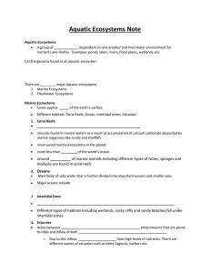 aquatic ecosystems lesson