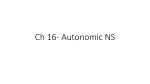 Ch 16- Autonomic NS