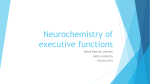 Neurochemistry of executive functions