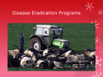 Disease Eradication Programs