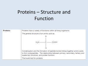 Proteins * Structure and Function