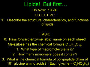 Lipids PP