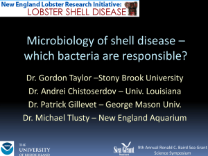 Tlusty Taylor Chistoserdov Gillevet Baird presentation final