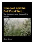Compost and the Soil Food Web