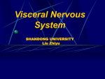 The Visceral Nervous System