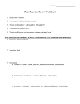 Plate Tectonics Review Worksheet