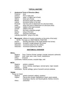 TOPICAL ANATOMY I Anatomical Terms of