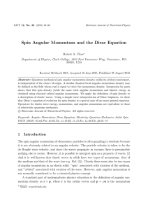 Spin Angular Momentum and the Dirac Equation