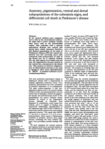 Anatomy, pigmentation, ventral and dorsal subpopulations of