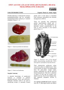 OPEN ACCESS ATLAS OF OTOLARYNGOLOGY - Vula