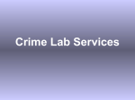 Crime Lab Services