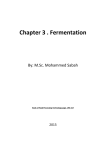 Ch.3 Fermentation File