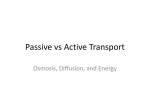 Passive vs Active Transport