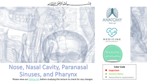 1-Nose, Nasal Cavity, Paranasal Sinuses,2017-02