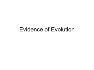 Evidence of Evolution