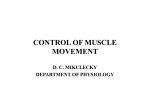 control of muscle movement