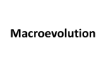 Macroevolution - RMC Science Home