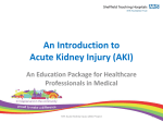 Sheffield Hospital Medical Care Guidelines for AKI