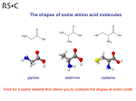 The shapes of some amino acid molecules