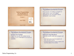 The Software Development Process